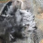 innovation blasting