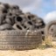 sustainability tyremanagement
